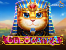 Wild slots casino. Rüyada ayı saldırısına uğramak.48